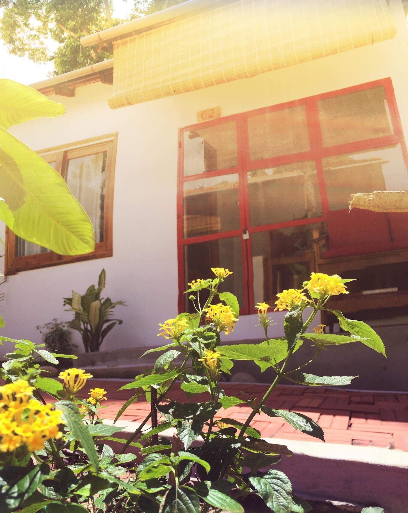 Langchia Hostel Phú Quốc Exterior foto